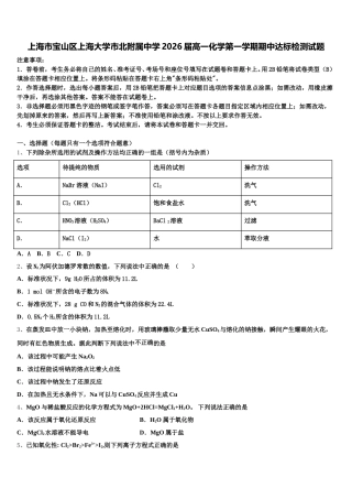 上海市宝山区上海大学市北附属中学2026届高一化学第一学期期中达标检测试题含解析