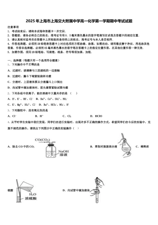 2025年上海市上海交大附属中学高一化学第一学期期中考试试题含解析