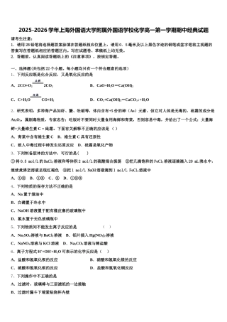 2025-2026学年上海外国语大学附属外国语学校化学高一第一学期期中经典试题含解析