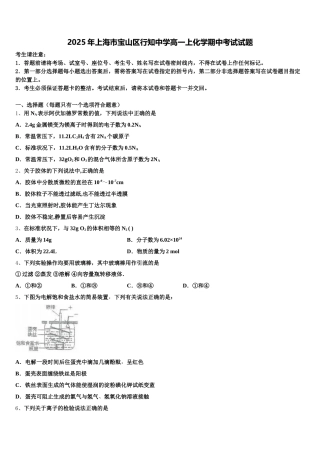 2025年上海市宝山区行知中学高一上化学期中考试试题含解析