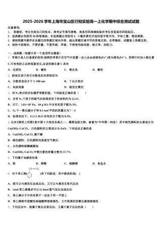 2025-2026学年上海市宝山区行知实验高一上化学期中综合测试试题含解析