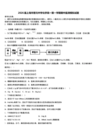 2026届上海市晋元中学化学高一第一学期期中监测模拟试题含解析