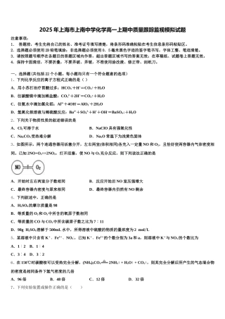 2025年上海市上南中学化学高一上期中质量跟踪监视模拟试题含解析