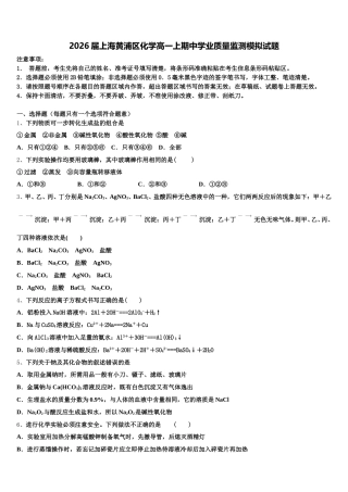 2026届上海黄浦区化学高一上期中学业质量监测模拟试题含解析