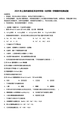 2025年上海市浦东区洋泾中学高一化学第一学期期中经典试题含解析