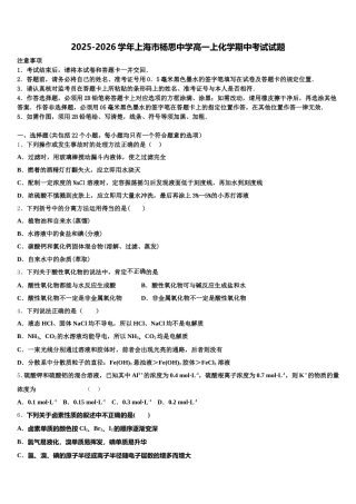 2025-2026学年上海市杨思中学高一上化学期中考试试题含解析