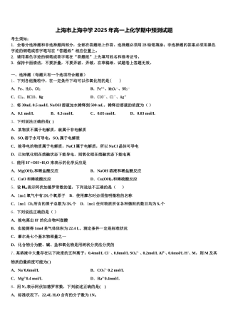上海市上海中学2025年高一上化学期中预测试题含解析