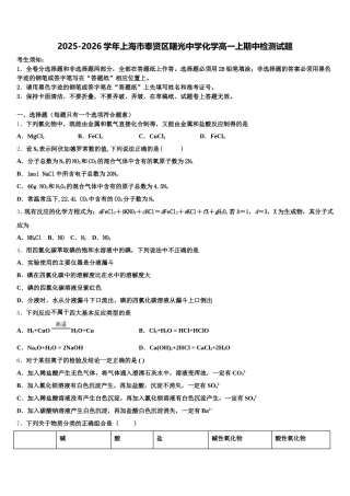 2025-2026学年上海市奉贤区曙光中学化学高一上期中检测试题含解析