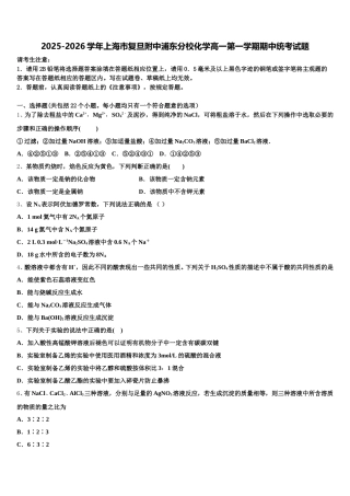 2025-2026学年上海市复旦附中浦东分校化学高一第一学期期中统考试题含解析