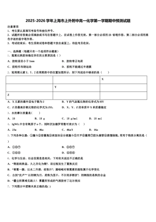 2025-2026学年上海市上外附中高一化学第一学期期中预测试题含解析