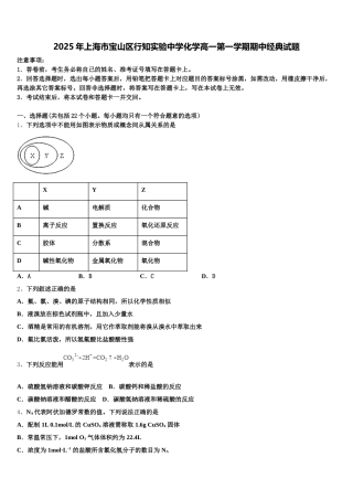 2025年上海市宝山区行知实验中学化学高一第一学期期中经典试题含解析