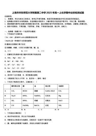 上海市华东师范大学附属第二中学2025年高一上化学期中达标检测试题含解析