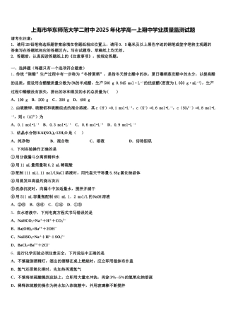 上海市华东师范大学二附中2025年化学高一上期中学业质量监测试题含解析