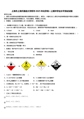 上海市上海外国语大学附中2025年化学高一上期中学业水平测试试题含解析