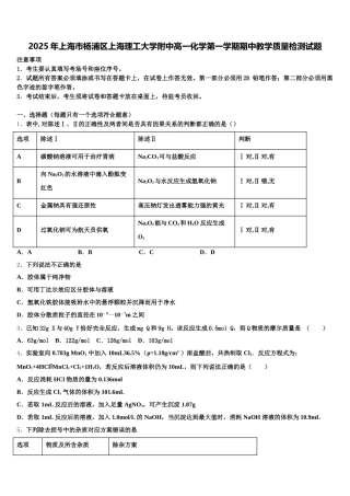 2025年上海市杨浦区上海理工大学附中高一化学第一学期期中教学质量检测试题含解析