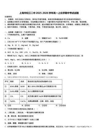上海市松江二中2025-2026学年高一上化学期中考试试题含解析