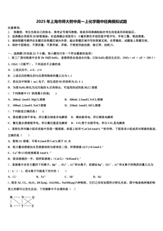 2025年上海市师大附中高一上化学期中经典模拟试题含解析