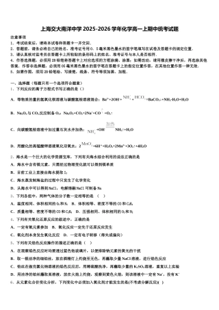 上海交大南洋中学2025-2026学年化学高一上期中统考试题含解析