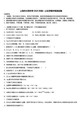 上海市大同中学2025年高一上化学期中预测试题含解析