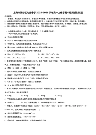 上海市闵行区七宝中学2025-2026学年高一上化学期中检测模拟试题含解析