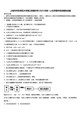 上海市华东师范大学第三附属中学2025年高一上化学期中检测模拟试题含解析