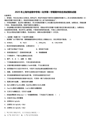 2025年上海市金陵中学高一化学第一学期期中综合测试模拟试题含解析