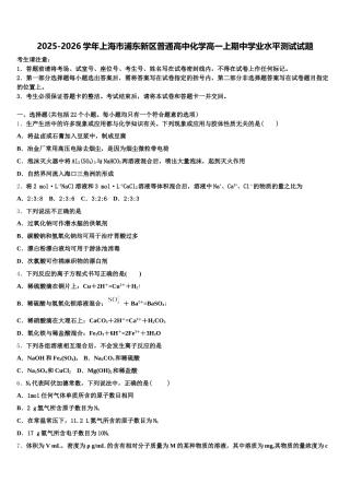 2025-2026学年上海市浦东新区普通高中化学高一上期中学业水平测试试题含解析