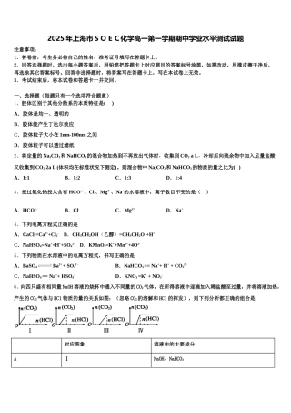 2025年上海市ＳＯＥＣ化学高一第一学期期中学业水平测试试题含解析