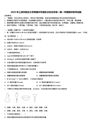 2025年上海市复旦大学附属中学浦东分校化学高一第一学期期中联考试题含解析