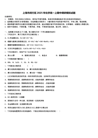 上海市闵行区2025年化学高一上期中调研模拟试题含解析