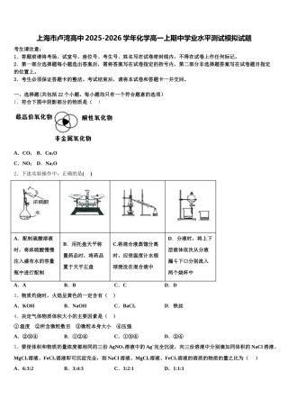 上海市卢湾高中2025-2026学年化学高一上期中学业水平测试模拟试题含解析