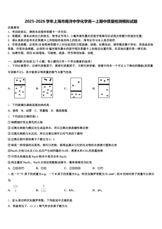 2025-2026学年上海市南洋中学化学高一上期中质量检测模拟试题含解析