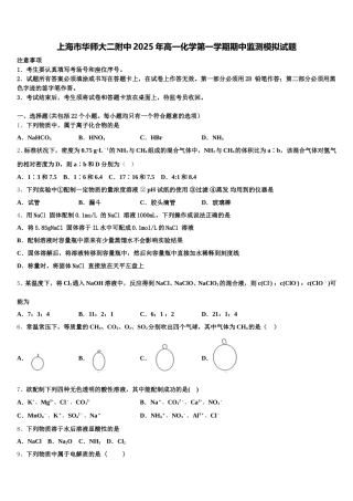上海市华师大二附中2025年高一化学第一学期期中监测模拟试题含解析
