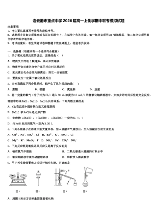 连云港市重点中学2026届高一上化学期中联考模拟试题含解析