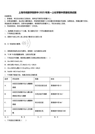 上海市戏剧学院附中2025年高一上化学期中质量检测试题含解析