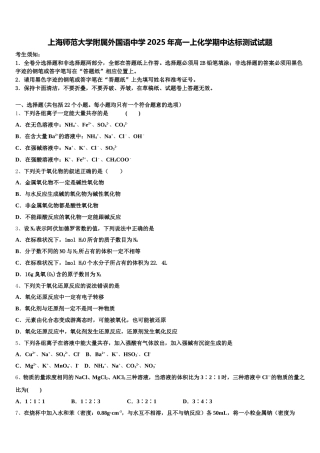 上海师范大学附属外国语中学2025年高一上化学期中达标测试试题含解析