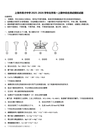 上海市育才中学2025-2026学年化学高一上期中综合测试模拟试题含解析