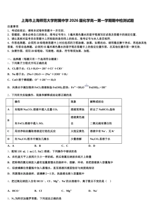 上海市上海师范大学附属中学2026届化学高一第一学期期中检测试题含解析