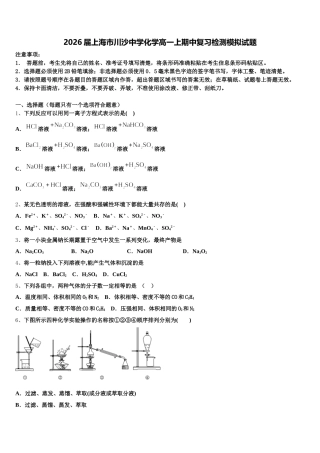2026届上海市川沙中学化学高一上期中复习检测模拟试题含解析