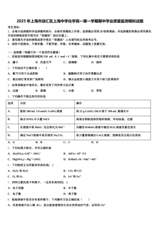 2025年上海市徐汇区上海中学化学高一第一学期期中学业质量监测模拟试题含解析