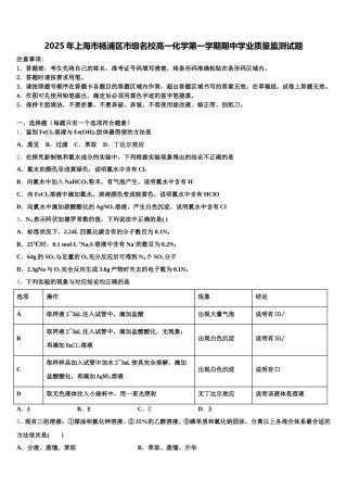 2025年上海市杨浦区市级名校高一化学第一学期期中学业质量监测试题含解析