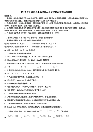 2025年上海市六十中学高一上化学期中复习检测试题含解析