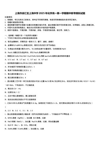 上海市徐汇区上海中学2025年化学高一第一学期期中联考模拟试题含解析