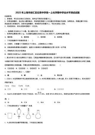 2025年上海市徐汇区位育中学高一上化学期中学业水平测试试题含解析
