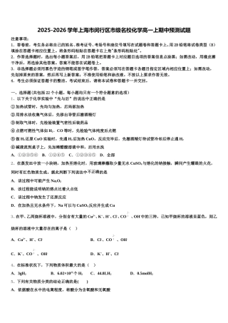2025-2026学年上海市闵行区市级名校化学高一上期中预测试题含解析