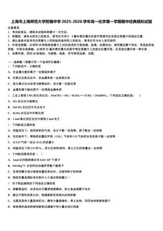 上海市上海师范大学附属中学2025-2026学年高一化学第一学期期中经典模拟试题含解析