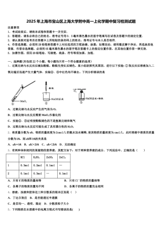 2025年上海市宝山区上海大学附中高一上化学期中复习检测试题含解析