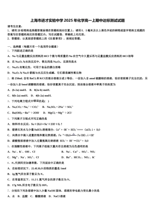 上海市进才实验中学2025年化学高一上期中达标测试试题含解析