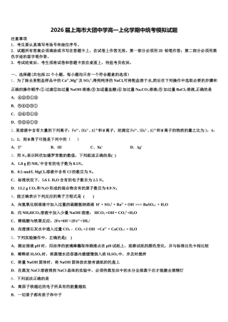 2026届上海市大团中学高一上化学期中统考模拟试题含解析