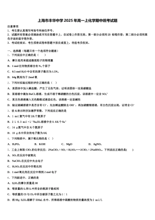 上海市丰华中学2025年高一上化学期中统考试题含解析